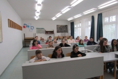 IMG_6782 (FILEminimizer)