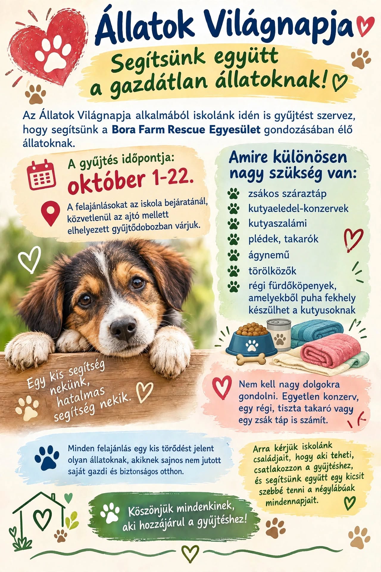 Állatok Világnapja gyűjtés
